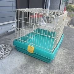 ペットケージ　今月末まで　の画像