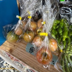 朝取立て　野菜の画像