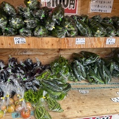 朝取立て　野菜の画像