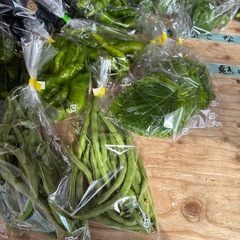 朝取立て　野菜の画像