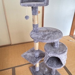 キャットタワーの画像