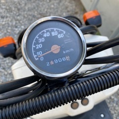ホンダ　ズーマー　白　HONDA ZOOMER   の画像