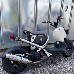ホンダ　ズーマー　白　HONDA ZOOMER   の画像