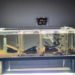 値段交渉有り熱帯魚連結オーバーフローフルセットの画像