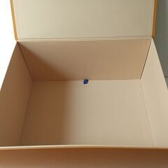 LOUIS VUITTON ルイヴィトン 空き箱 　40×33×19㎝の画像