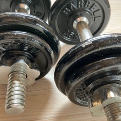 ダンベル 2個セットの画像