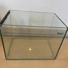 小型水槽の画像