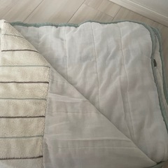 タオルケット
の画像