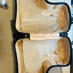【備品】子供乗せキャリーケースMサイズの画像