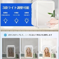新品　6L 小型 室内車載両用【保冷・保温】ポータブル ミニ冷蔵庫 超軽量 省エネ AC・DC給電コード付の画像