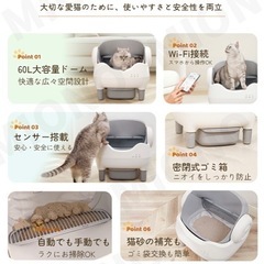 猫　自動トイレの画像