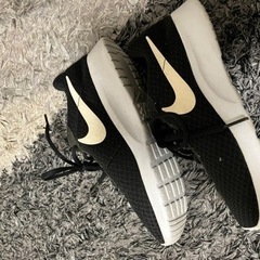 NIKEシューズ　レディース　23センチの画像