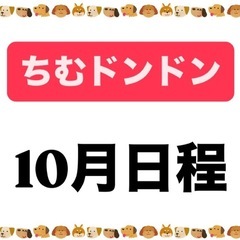 個人参加型バレーボール！　ちむドンドン　10月日程