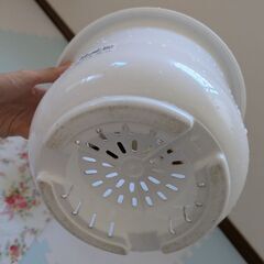 プランター2点とお野菜の種の画像