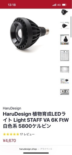 パキポディウムグラキリス　まとめ売り　ライト込み価格