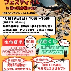 昆虫イベント 道の駅　都城NIQLL 10/19(日)