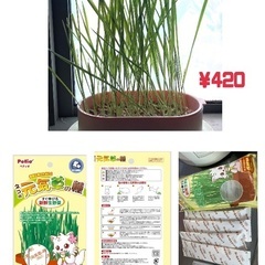 ネコ草＆ペットライン 懐石 2つのごほうび 小魚添えペア キャットドライ 総合栄養食 【国産/小分け】1.2kgの画像
