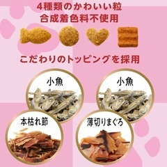 ネコ草＆ペットライン 懐石 2つのごほうび 小魚添えペア キャットドライ 総合栄養食 【国産/小分け】1.2kgの画像