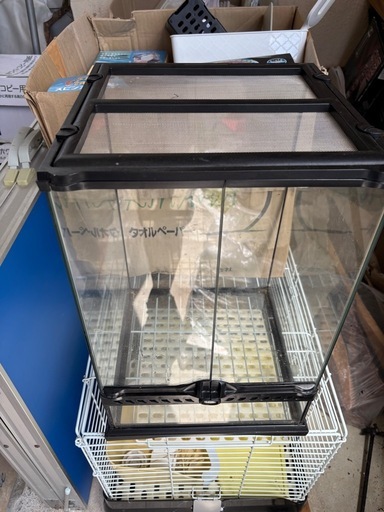 爬虫類ボックス