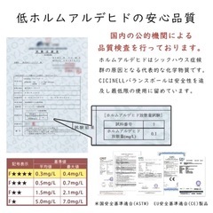 【受け渡し予定あり】バランスボード　CICINELL【正規品】の画像