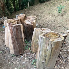 薪用の木、沢山あります。の画像
