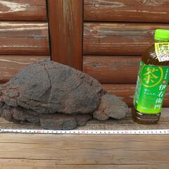 富士山の火山弾①の画像
