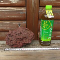 富士山の火山弾②の画像