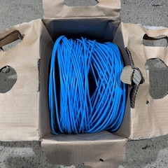 LANケーブル　CAT5eの画像