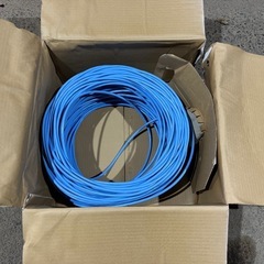 LANケーブル　CAT6Aの画像