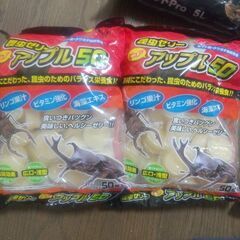 カブト虫クワガタ虫 飼育セットの画像