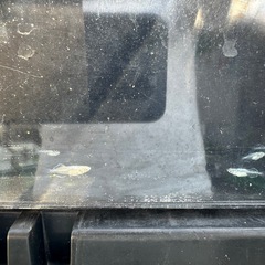 水色桔梗の画像