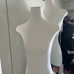 ✨ほぼ新品！レディーストルソー（マネキンボディ）の画像