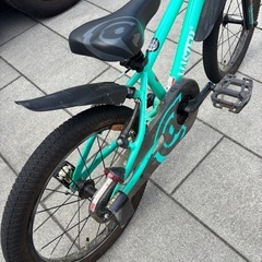 Dバイク D-Bike D-Bike Master+ 18 Dバイクマスタープラス18の画像