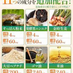 【新品・未使用】ナンバーサプリ12 鹿児島県福山町産 熟成黒酢 熊本県産 スッポン 青森県産福地ホワイト６片 金時生姜 酪酸菌 ビフィズス菌【13成分配合の画像