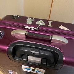 プロテカのキャリーバッグの画像