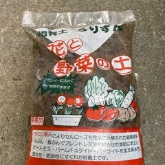 園芸用品　ヘゴ　水苔　土の画像