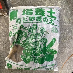 園芸用品　ヘゴ　水苔　土の画像