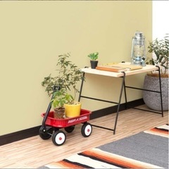 ⭐️RADIO FLYER⭐️の画像