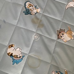 【月末処分予定急募キャンセル不可】汚れあり。お布団。の画像