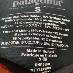 パタゴニア シーガル メンズS R1ライト・ユーレックスの画像