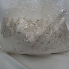 紙吹雪　コンフェッティ　白　綺麗なホワイト　15ｍｍｘ15ｍｍ　約4kg　お祝い　祝福　パーティー　イベント　劇　結婚式　マジック　発表会の画像