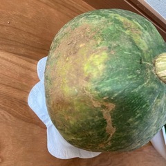 夏野菜詰め合わせ B 2キロ以上の画像