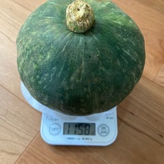 夏野菜詰め合わせ B 2キロ以上の画像