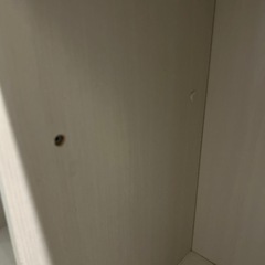 オープンカラーボックス　ホワイトの画像