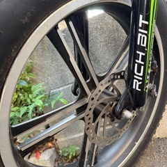電動アシスト自転車 RICH BIT TOP-016の画像