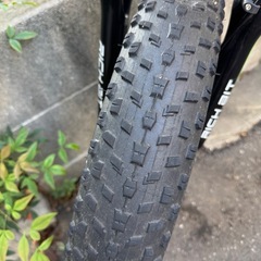電動アシスト自転車 RICH BIT TOP-016の画像