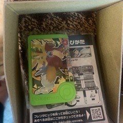 ポケモンフレンダ❗️ウガツホムラ❗️の画像