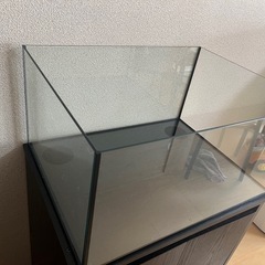 60センチ　水槽　の画像