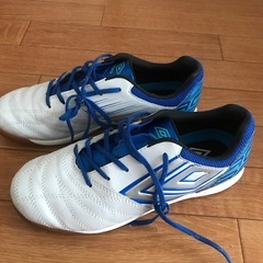 室内用⚽️サロンシューズ22cmの画像