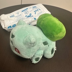 フシギダネぬいぐるみ
の画像